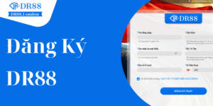 Cách đăng ký DR88 - Quy trình chi tiết năm 2026