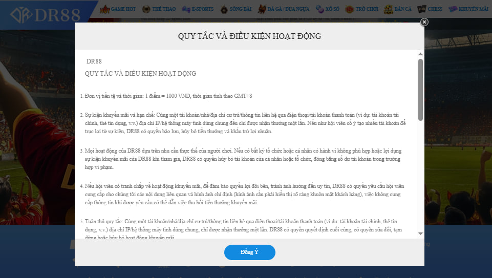 Đồng ý với điều khoản và điều kiện khi đăng ký DR88