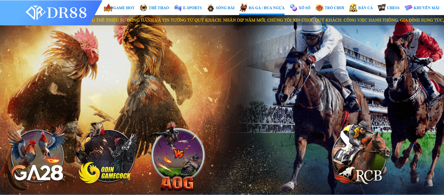 Tổng quan sảnh đá gà DR88