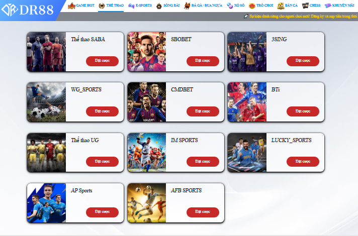 Sảnh thể thao DR88 quy tụ 11 nhà cung cấp với hơn 200 trận thi đấu mỗi ngày.